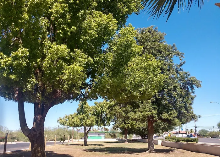 Windemere & Conference Center 3* Mesa